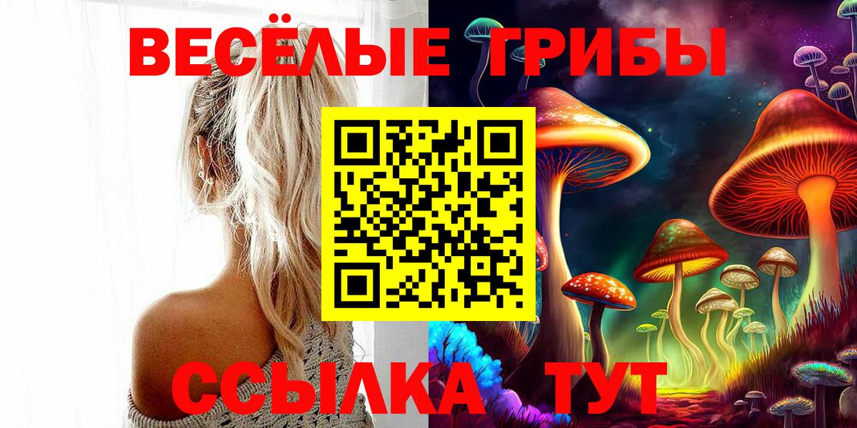 Псилоцибиновые грибы GOLDEN TEACHER Наро-Фоминск