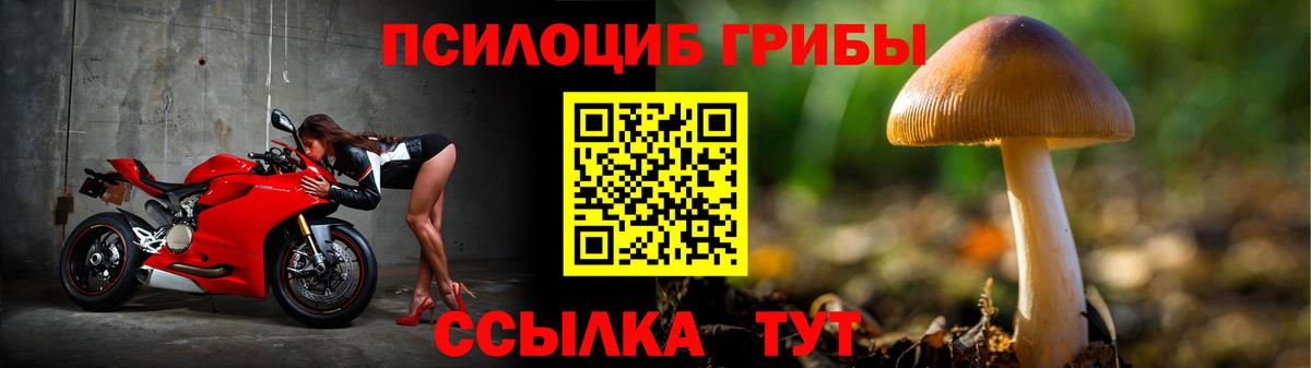 Наро-Фоминск  Галлюциногенные грибы Magic Shrooms  Вход с VPN 